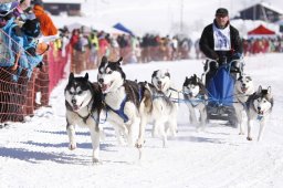 Lenk 2013